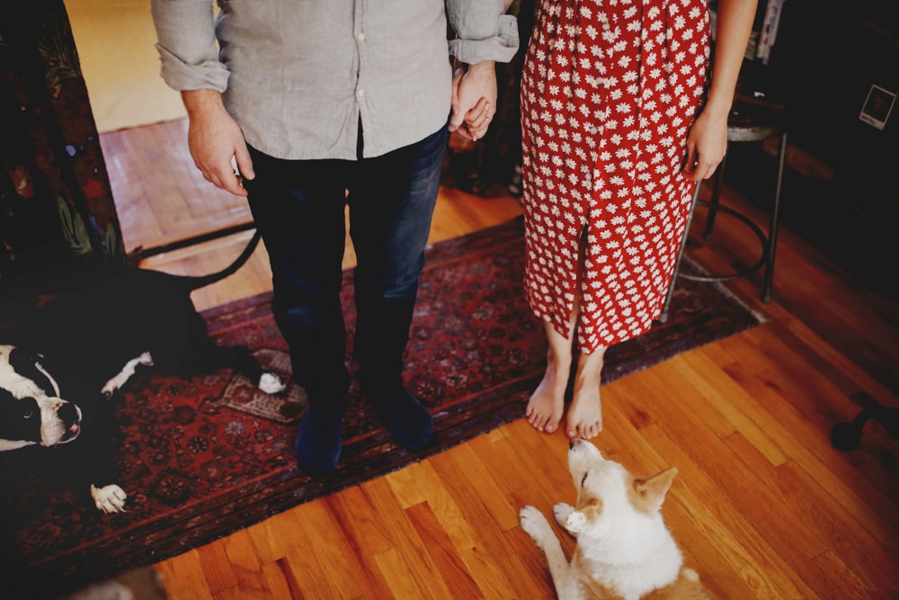 home engagement shoot in brooklyn