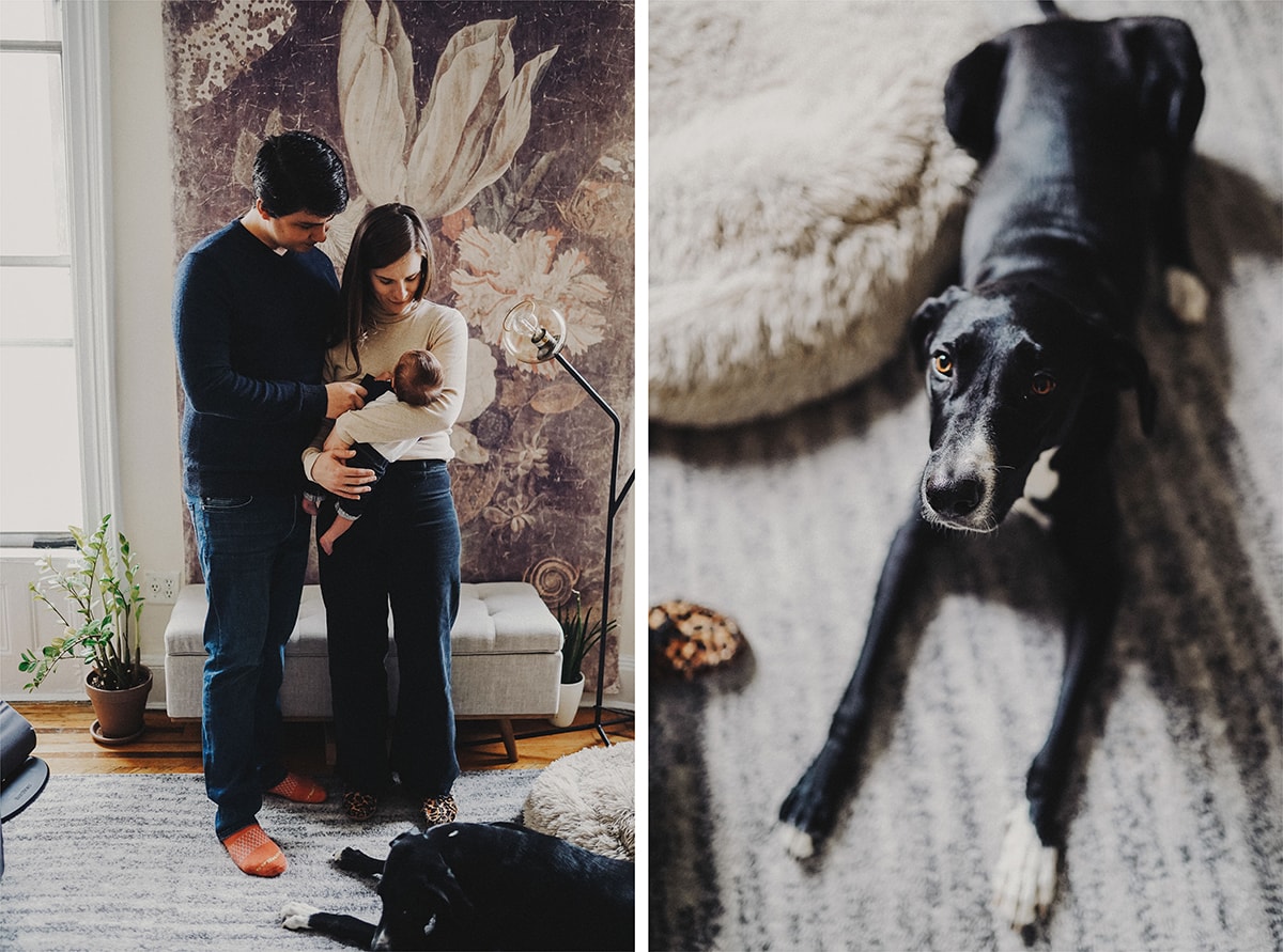 newborn photo session at home in brooklyn